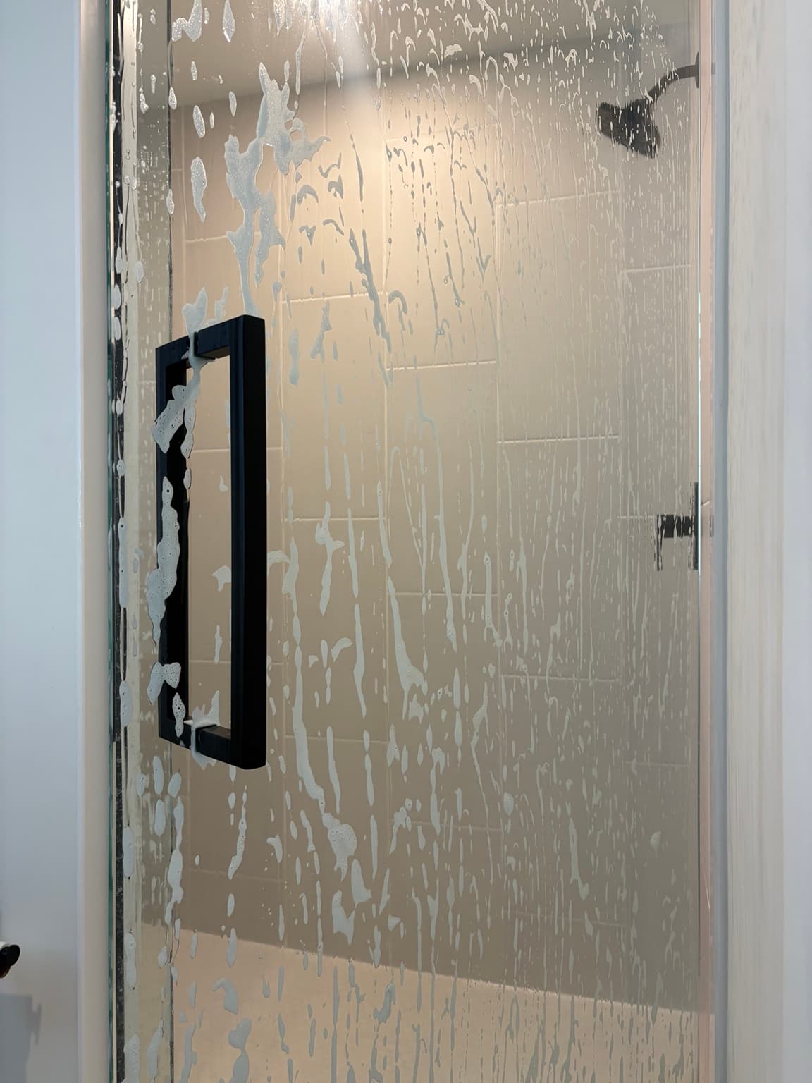 Lustra cleaning a glass shower door
